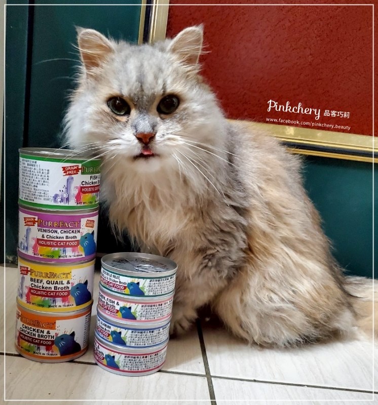 女人知己試用大隊,口碑行銷,部落客行銷,PURRFACT 波菲特貓用主食罐,主食罐,PURRFACT波菲特,貓主食罐,貓罐,PURRFACT波菲特貓用主食罐,魚肉蔓越莓主食罐,鮮嫩雞主食罐,鹿肉雞肉主食罐,牛肉鵪鶉貓主食罐,干貝蠶蛹配方,鱷魚肉白木耳配方,雞肉魚肉配方,安心鶉配方,評價,體驗,適口性佳,心得,成貓適用,高齡貓適用,質地是慕絲狀